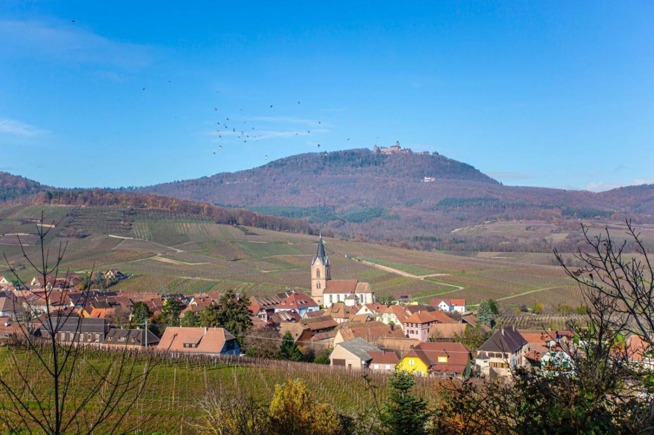Gite La Rodernelle - Sauna Privatif - Climatisation - Vue Sur Le Chateau Du Haut Koenigsbourg Exterior foto